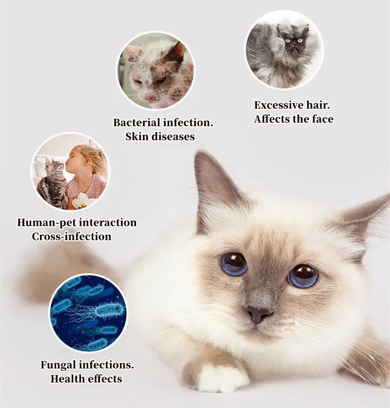 Give Your Pets the ultimate care with - Pets Hair Grooming Remover Brush with UVC Sterilization. Slicker Needle Comb Removes Tangled Self Cleaning Pet Supplies
