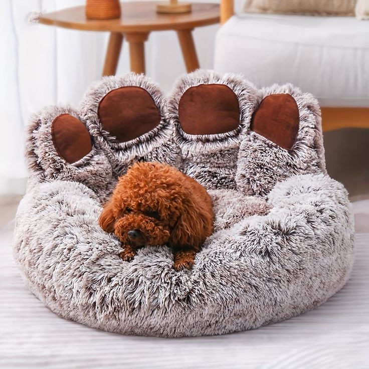 Pet accessories