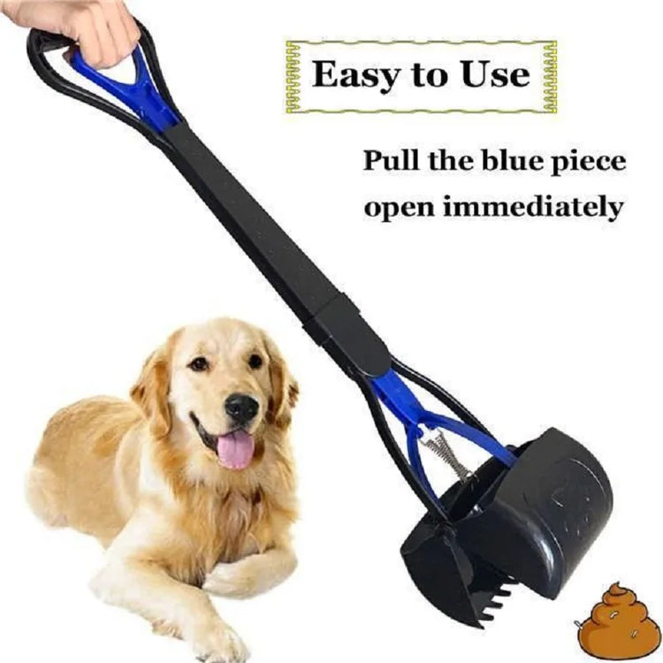 Pet Cleaning & Waste Management