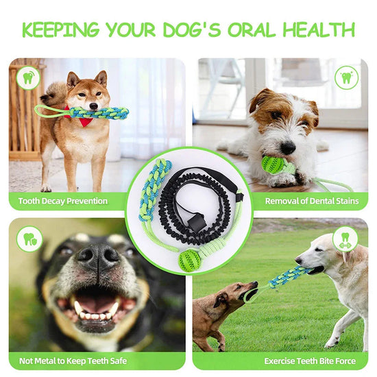 Interactive Dog Toy Spring Rope Dogs Outdoor and Indoor Hanging Pull Rope Ball Bite Resistant Chew Toys Training Pet Accessories