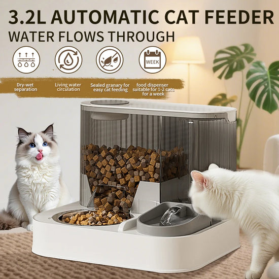 Automatic Cat Feeder, Cat Food Dispenser, Cat Automatic Feeder with Pet Bowl, Water Dispenser Pet Food Feeder Fully Automatic, P